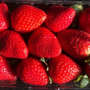 Sweet Strawbarry فراولة